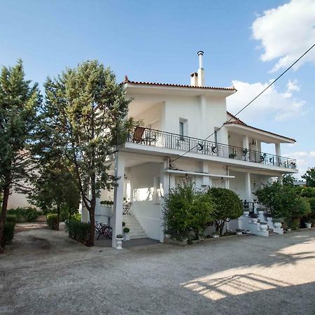 All You Need Is Nafplio Apartment Ngoại thất bức ảnh